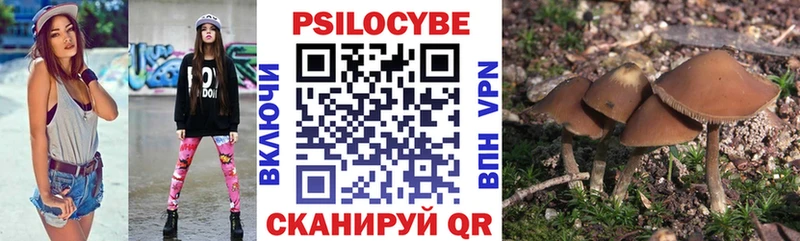 Псилоцибиновые грибы мицелий  цена наркотик  Талица 